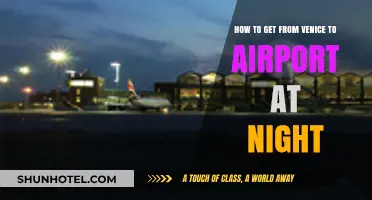 Nighttime Travel Guide: Venice to Airport Transport Options Simplified