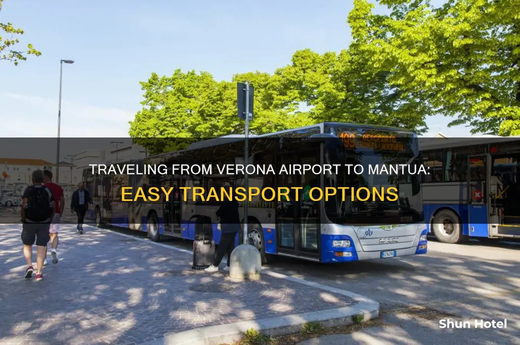 how to get from verona airport to mantua
