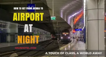 Late-Night Travel Guide: Vienna to Airport Transport Options