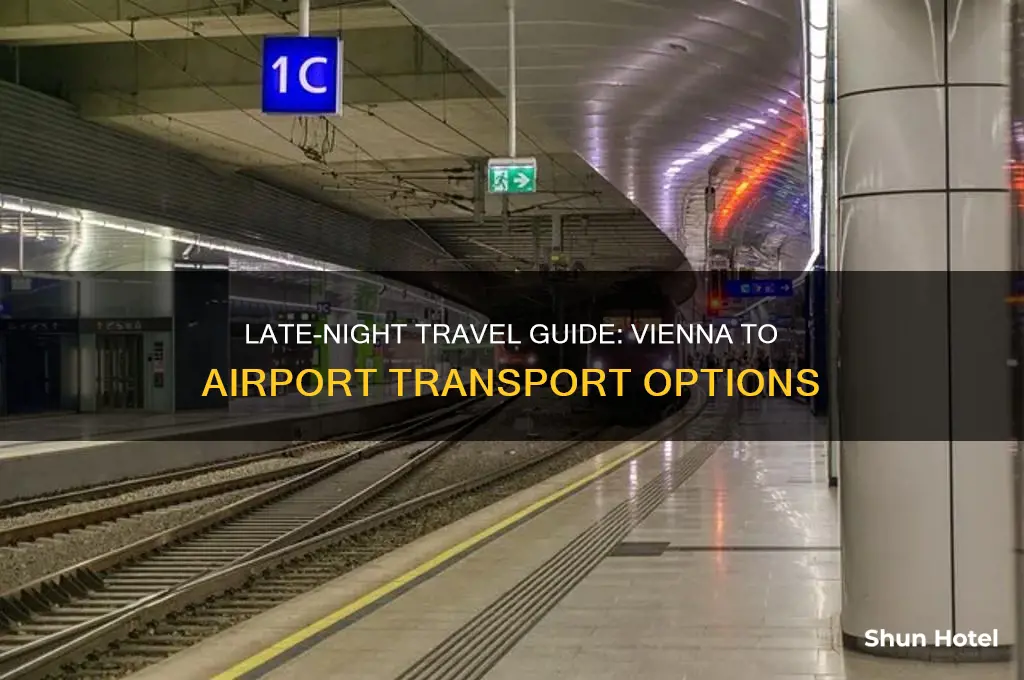 how to get from vienna to airport at night