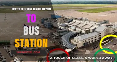 Easy Vilnius Airport to Bus Station Transfer Guide: Quick Tips