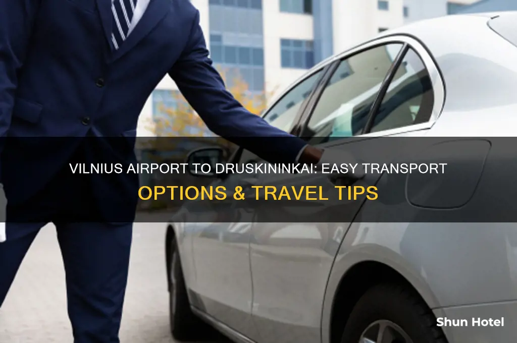 how to get from vilnius airport to druskininkai