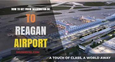 Easy Travel Tips: Washington DC to Reagan Airport Guide