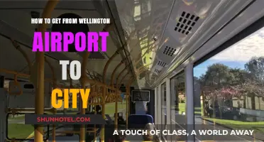 Easy Transport Options: Wellington Airport to City Center Guide