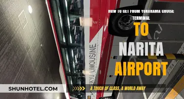 Yokohama Cruise Terminal to Narita Airport: Efficient Travel Guide