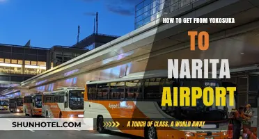 Yokosuka to Narita Airport: Efficient Travel Tips and Routes