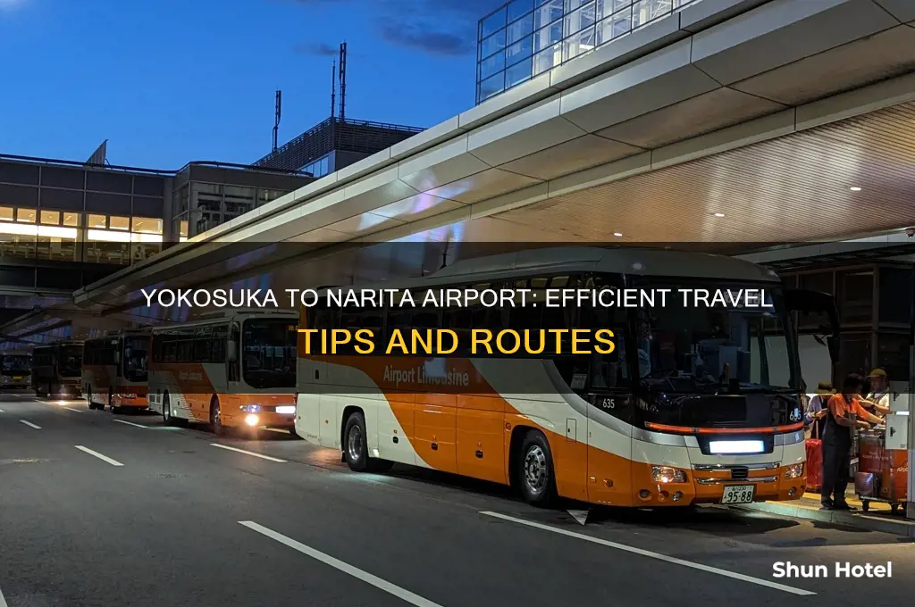 how to get from yokosuka to narita airport