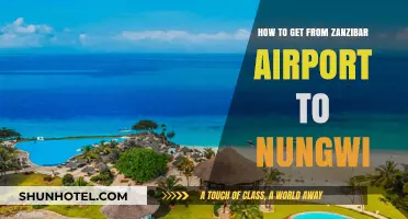 Zanzibar Airport to Nungwi: Easy Transport Options & Travel Tips