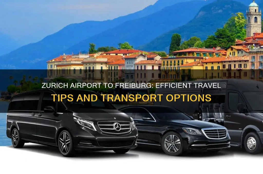 how to get from zurich airport to freiburg germany