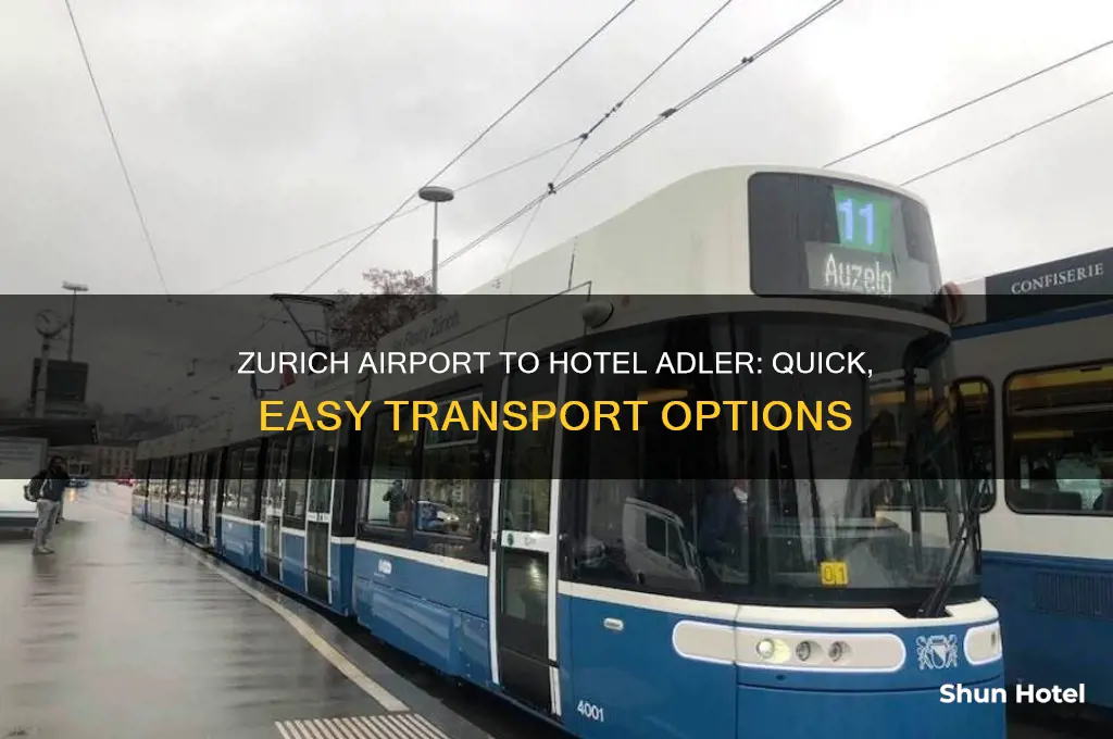 how to get from zurich airport to hotel adler