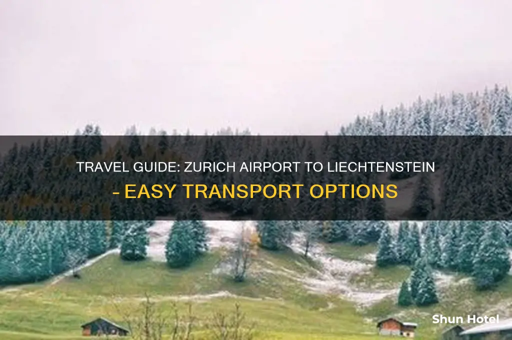 how to get from zurich airport to liechtenstein