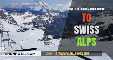 Zurich Airport to Swiss Alps: Easy Transport Options & Tips