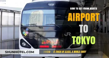 Narita Airport to Tokyo: Easy Transport Options and Travel Tips