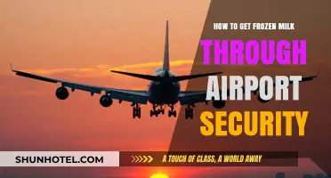 Traveling with Frozen Milk: Tips to Breeze Through Airport Security