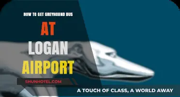 Catching a Greyhound Bus from Logan Airport: A Quick Guide