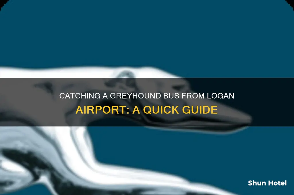 how to get greyhound bus at logan airport