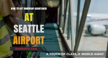 Navigating Seattle Airport: A Guide to Handicap Assistance Services