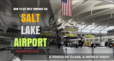 Navigating TSA Assistance at Salt Lake Airport: A Quick Guide