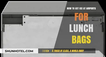Travel Smart: Easy Ways to Get Ice for Lunch Bags at Airports