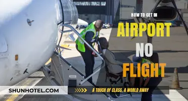 Exploring Airports Without Flying: Tips for Non-Passenger Access