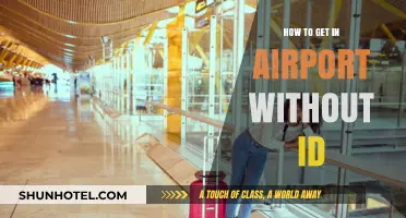 Traveling Without ID: Tips to Navigate Airport Security Smoothly