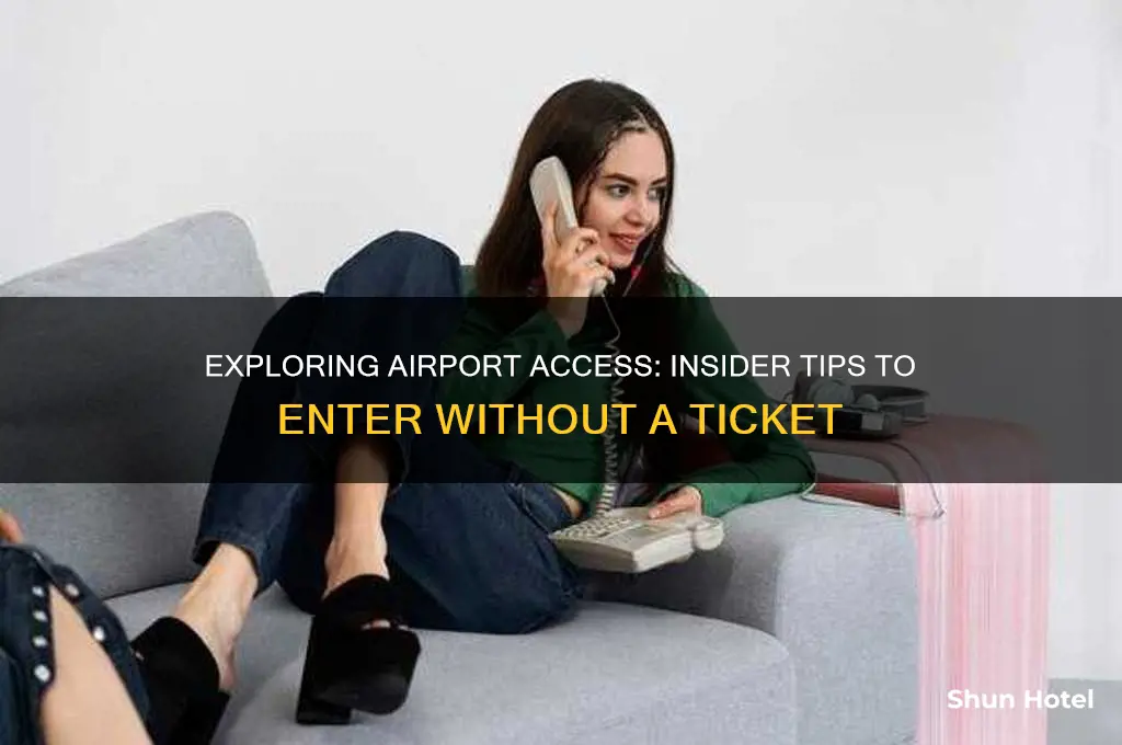 how to get inside airport without ticket