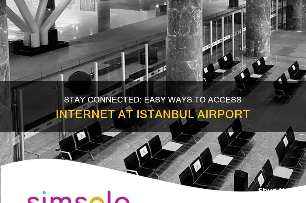 how to get internet in istanbul airport