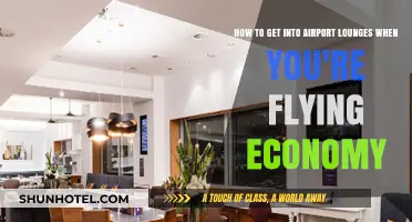 Economy Flyer's Guide: Accessing Airport Lounges Without Premium Tickets