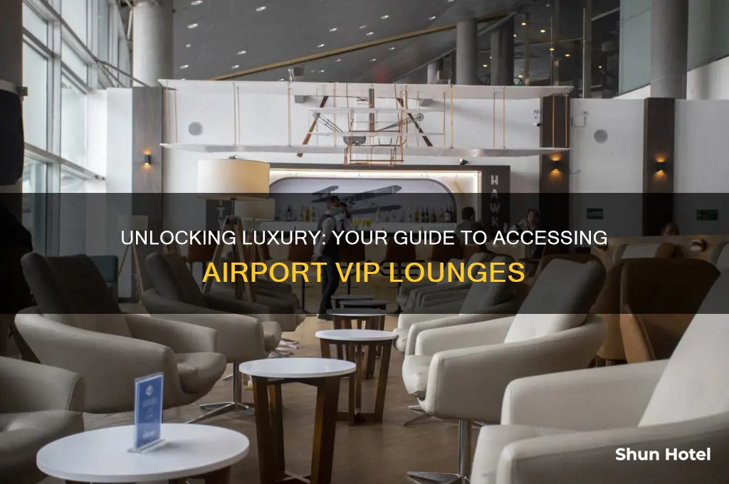 how to get into airport vip lounge