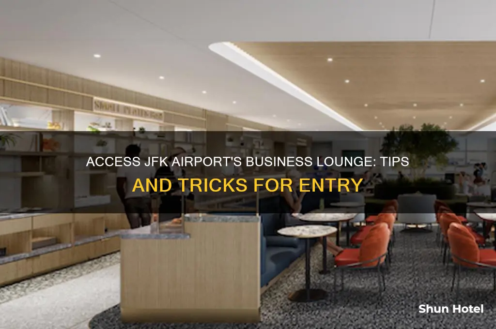 how to get into the business lounge in jfk airport