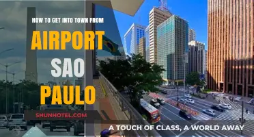 Easy Airport to City Travel: Navigating São Paulo's Transport Options