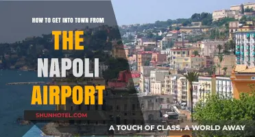 Easy Transport Options: Napoli Airport to City Center Guide