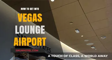 Accessing Vegas Lounge Airport: A Step-by-Step Guide for Travelers