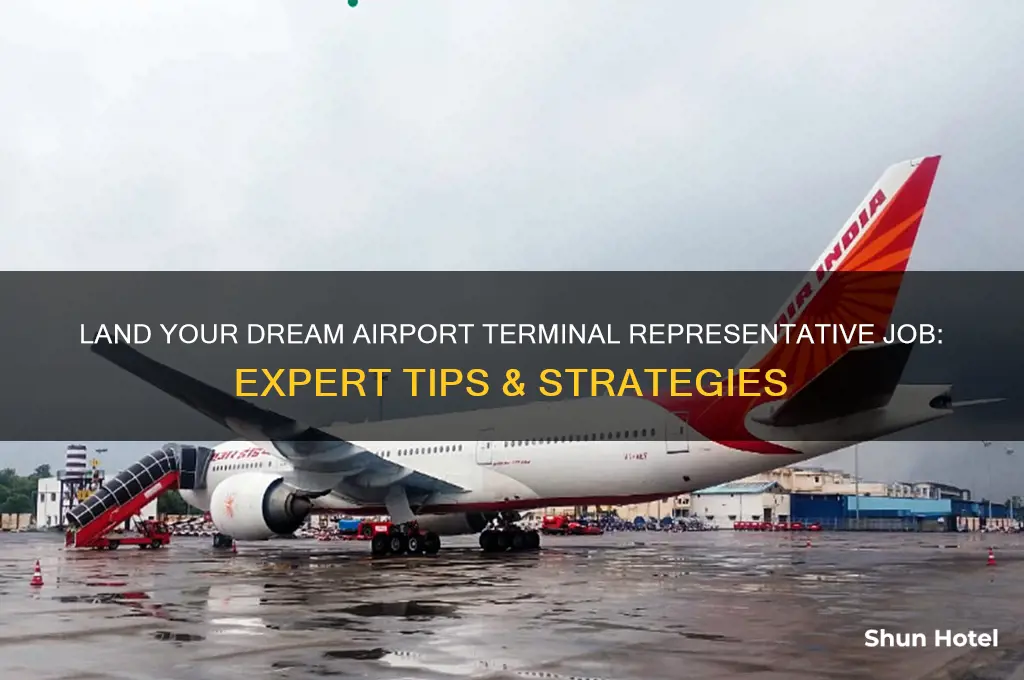 how to get job airport terminal representative job