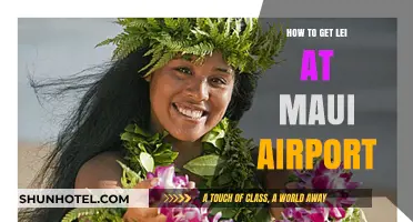 Where to Find and Get a Fresh Lei at Maui Airport