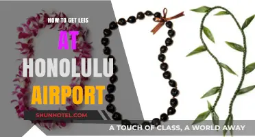 Where to Find Leis at Honolulu Airport: A Quick Guide