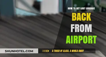 Lost Luggage? Quick Tips to Recover Your Bags from the Airport