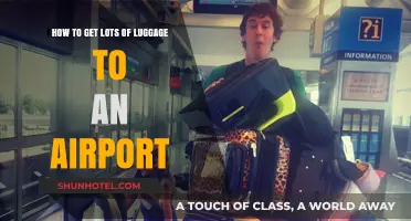 Efficiently Transporting Multiple Bags to the Airport: Tips and Tricks