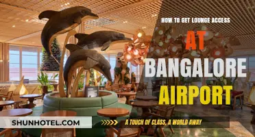 Unlock Bangalore Airport Lounge Access: Tips and Tricks for Travelers