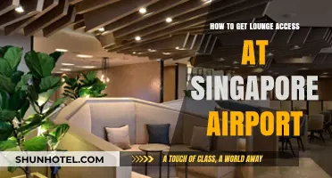Unlock Singapore Airport Lounge Access: Tips for Travelers