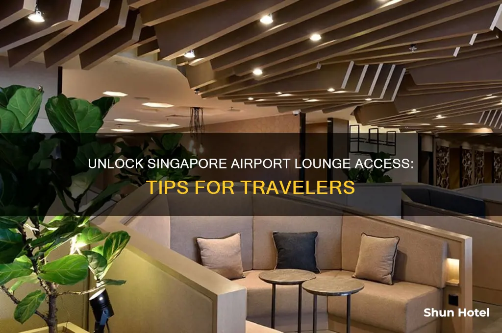 how to get lounge access at singapore airport