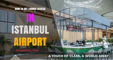 Unlock Istanbul Airport Lounge Access: Tips for a Premium Travel Experience