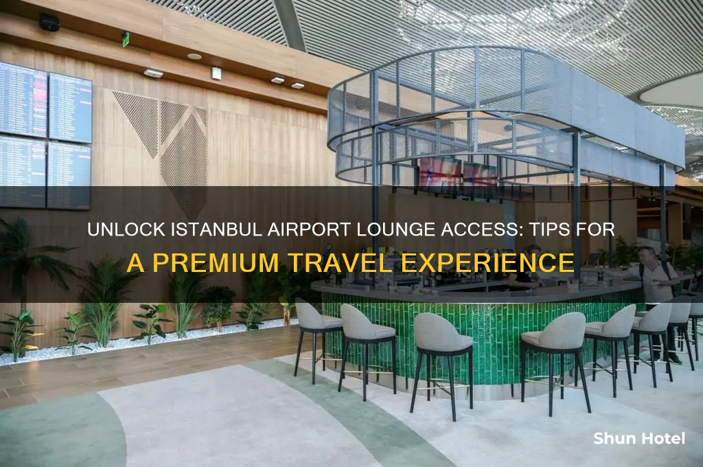 how to get lounge access in istanbul airport