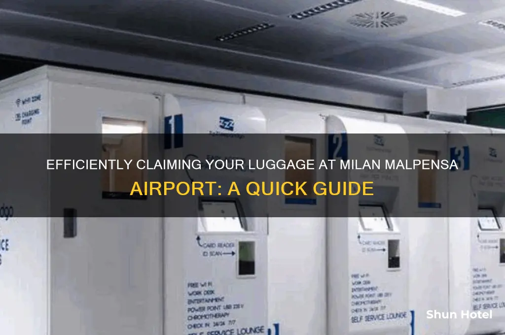 how to get luggage at milan malpensa airport