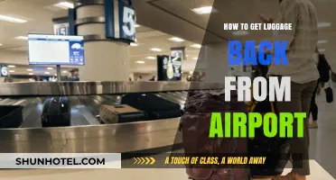 Lost Luggage? Quick Steps to Retrieve Your Bags from the Airport