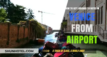 Effortless Venice Travel: Transporting Luggage from Airport to Hotel