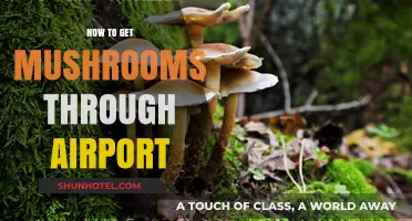 Sneaking Mushrooms Through Airport Security: Tips and Tricks for Travelers