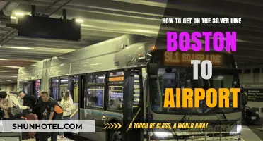 Navigating Boston's Silver Line to Logan Airport: A Quick Guide