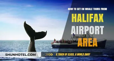 Whale Watching Adventures: Halifax Airport to Ocean Tours Guide