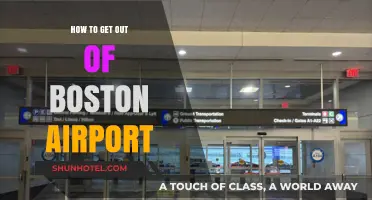 Navigating Boston Airport: Quick Exit Tips for Travelers